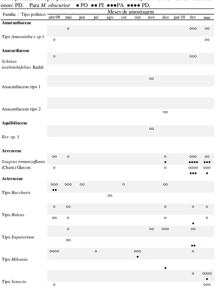 Tabela  3  Ocorrência  dos  tipos  polínicos  nas  amostras  coletadas  por  Apis  mellifera  e  Melipona obscurior, de abril/09 a março/10, em Riozinho, RS, Brasil