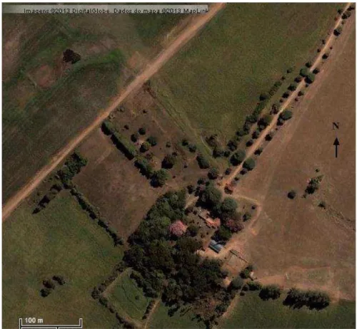 Figura 1. Imagem de satélite do bosque da Estância Casa Branca, município de Alegrete,  Rio Grande do Sul