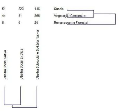 Fig. 2. Análise de agrupamento de insetos por Índice de Similaridade de Bray-Curtis de duas vias  entre  as  classes  de  habitats  e  as  guildas  de  abelhas,  associadas  a  áreas  agrícolas  com  Brassica  napus, no período de agosto de 2010 a outubro 