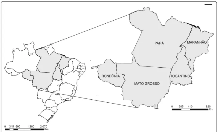 Fig. 1 Study area: all municipalities of the states of Mato Grosso, Tocantins, Rondônia, Pará and Maranhão