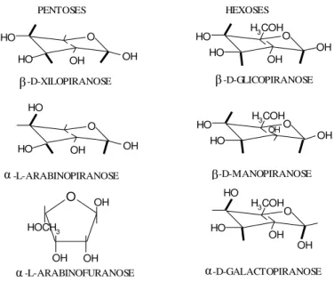 Figura 2.5. Representação de algumas estruturas de unidades químicas que constituem a  hemicelulose