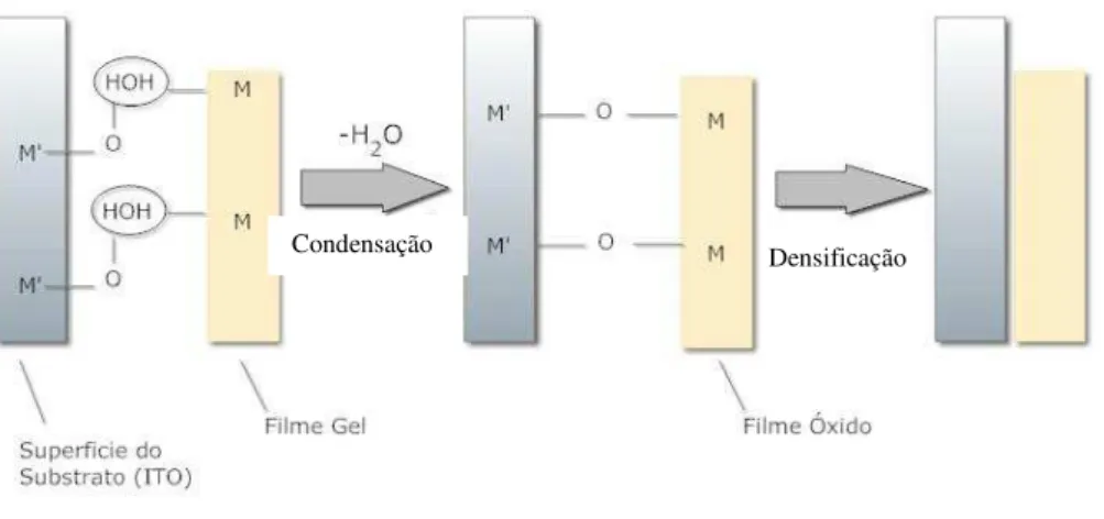 Figura 12 - Formação das ligações químicas entre o substrato e o filme, e a densificação
