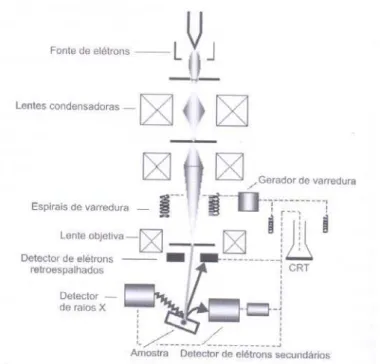 Figura 3-14: Diagrama esquemático mostrando os principais componentes de  um microscópio eletrônico de varredura 26 