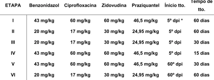 Tabela 1. Doses terapêuticas utilizadas nas seis etapas analisadas no tratamento  multidrogas da doença de Chagas experimental