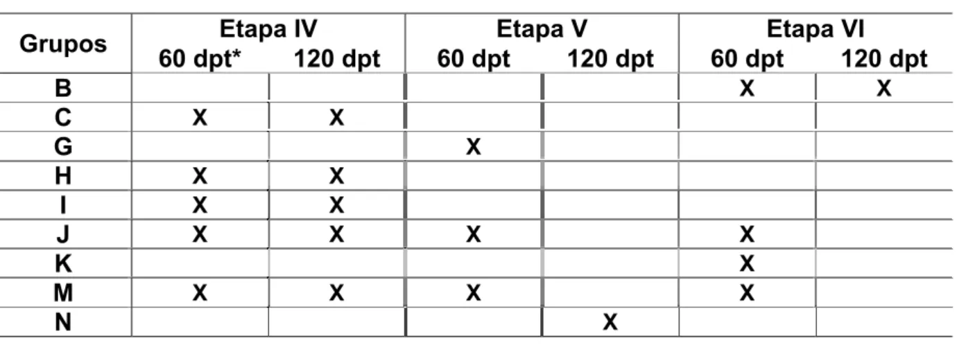 Tabela 2. Presença de cardiopatia nos grupos experimentais. 