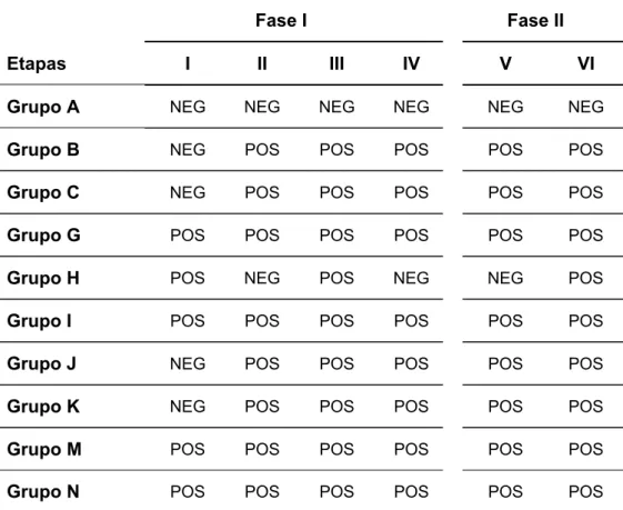 Tabela 3. Resultados de hemoculturas nas fases I e II do tratamento multidrogas da  doença de Chagas experimental