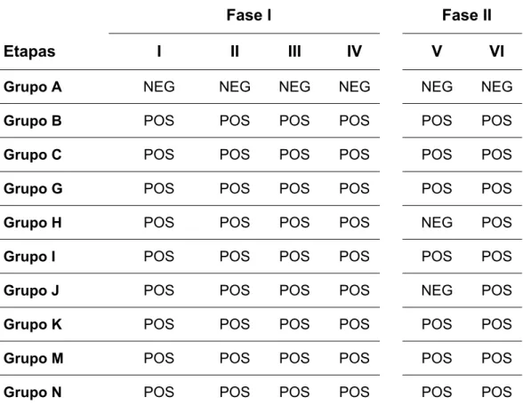 Tabela 4. Análise parasitológica por PCR das fases I e II do tratamento multidrogas  da doença de Chagas experimental*