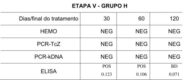 Tabela 5. Análise comparativa entre as técnicas de hemocultura, PCR e ELISA, do  grupo H da etapa V, amostras obtidas de camundongos cronicamente infectados  com  T