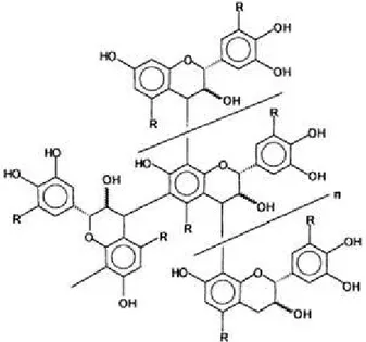 Figura 5. Estrutura molecular do tanino (COVINGTON, 1997). 