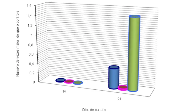 Gráfico  1:  Expressão  da  Fosfatase  Alcalina  (ALP)  nos  períodos  de  14  e  21  dias  de  cultura  sobre  superfícies  de  titânio
