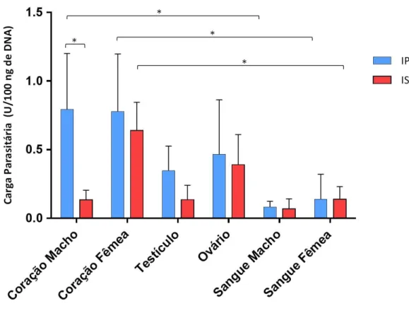 Figura  14.  Carga  parasitaria  em  diferentes  tecidos  de  camundongos  infectados  pelas  vias  seual  e  intraperitoneal