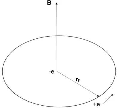 Figura 5 – Átomo de Hidrogênio, a partir do referencial do elétron. Onde r p é o vetor que representa o raio da órbita do próton e B é o campo magnético do próton, na posição do elétron.