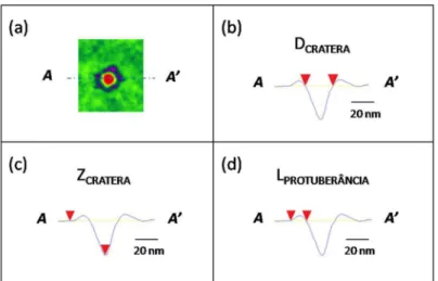 Figura 4.1 Esquema das dimensões medidas dos defeitos induzidos pela irradiação com incidência  normal à superfície