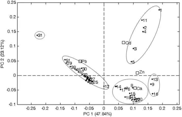 Figure 3. Two-dimensional representation of the spatially distribution of scores and  weights determined by first two principal components (PC) of PCA