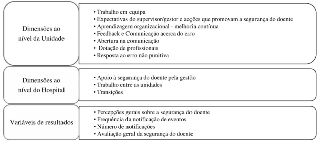 Figura 21. Grupos de dimensões da cultura de segurança do doente 