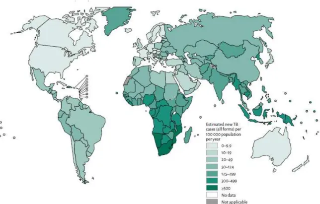 Figura n.º 3  –  Taxas de incidência estimadas de Tuberculose, dados 2014   Fonte: WHO, 2015 