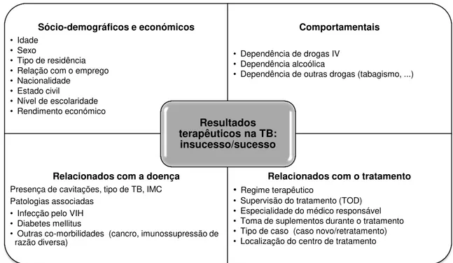 Figura n.º 5  –  Sistematização dos factores relacionados com os resultados terapêuticos em casos  de tuberculose pulmonar  