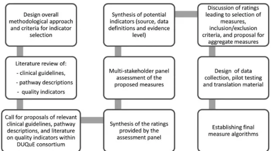 Figure 2 Development process of DUQuE clinical indicators.