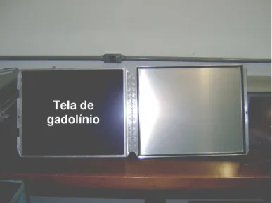 FIGURA 2.1- Cassete de alumínio com tela conversora de gadolínio. 