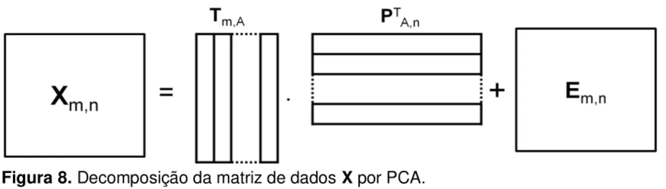 Figura 8. Decomposição da matriz de dados X por PCA. 