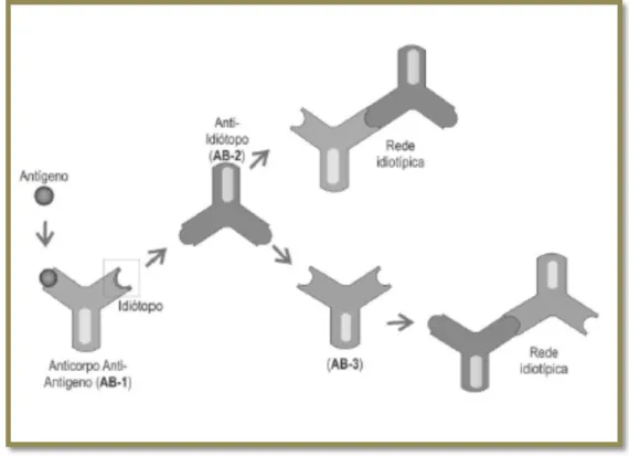 Figura 5 - Representação esquemática das diferentes vias de diferenciação das células TH0 com destaque  para as citocinas indutoras da diferenciação Th1, Th2, Th17 e TREG e as principais citocinas secretadas