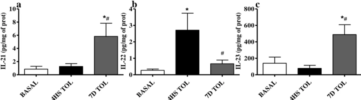 Figura 12. O efeito da tolerância ao LPS nas citocinas da família TH17. Níveis das citocinas IL21 (a), IL22  (b) e IL23(c) foram determaninadas no grupo (BASAL); coletado 4 horas após a primeira dose de LPS (4H  TOL) e coletado 2 dias após a ultima dose de