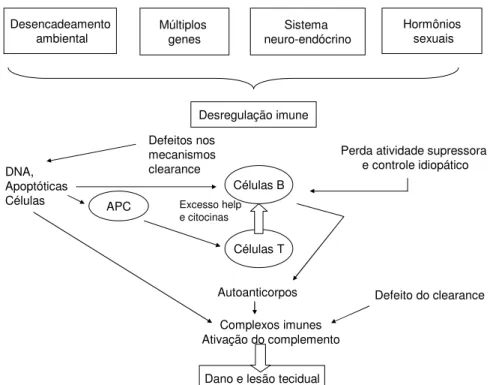 Figura 1: Etiopatogenia do lupus eritematoso sistêmico  Fonte: Mok e Lau (2003)  9 . 