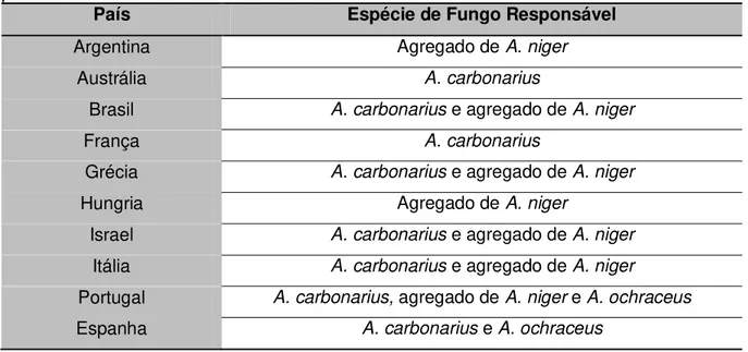 Tabela 9. Fungos responsáveis por contaminação de OTA em uvas e vinhos em diferentes  países