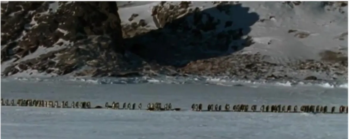 Figura 6  –  Exemplo do uso de verbos específicos: Pinguins deslizam sobre o gelo 