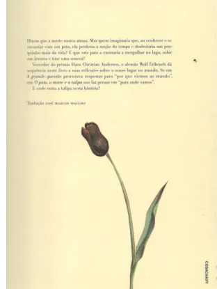 Fig. 10 - Capa - O pato5 a morte e a tulipa QEnten, Tod und Tolpex Wolf Erlbruch