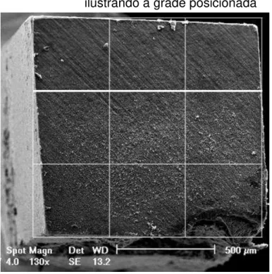 Figura 3 - Fotografia em MEV (aumento de 130x),                                            ilustrando a grade posicionada 
