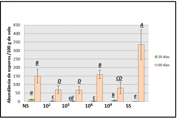 Figura 2 - Abundância de esporos nos solos dos microcosmos nos períodos de 30 e 60 dias.O eixo  (X) representa os tratamentos com diferentes cargas microbianas (NS, 10 -1 , 10 -3 ,10 -6 , 10 