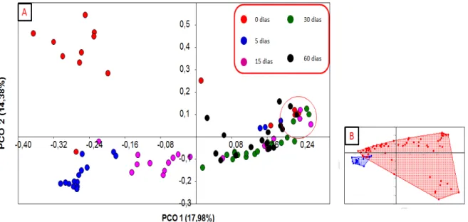 Figura 4 -(A) Análise de coordenadas principais (PCoA) dos perfis relativos às comunidades 