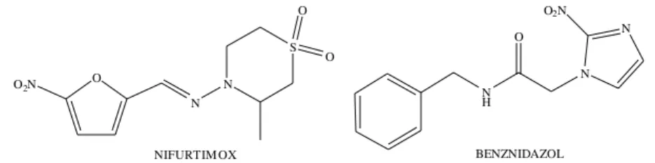 Figura 2 - Estrutura química dos fármacos Nifurtimox e Benznidazol. 