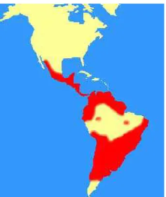 Figura 1 - Distribuição geográfica da doença de Chagas na América Latina 