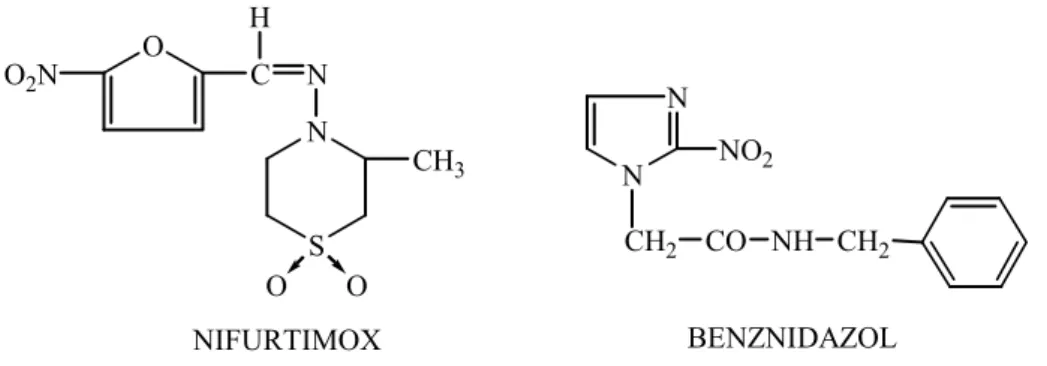 Figura 5 - Estrutura química do Nifurtimox e Benznidazol 