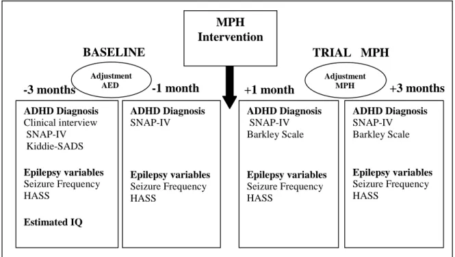 Figure 1 - Outline of the study 