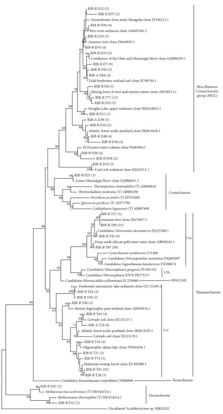 Figure 4: Phylogenetic tree of archaeal 16S rRNA gene OTUs (97%) obtained from Cerrado freshwater sediments in the dry season (RIB-A D and RIB-B D sequences) and in the dry to rainy season transition period (RIB-A T and RIB-B T sequences)