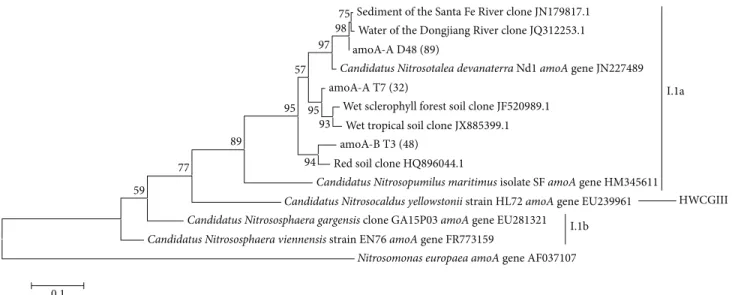 Figure 5: Phylogenetic tree of archaeal amoA OTUs (90%) obtained from Cerrado freshwater sediments in the dry season (amoA-A D and amoA-B D sequences) and in the dry to rainy season transition period (amoA-A T and amoA-B T sequences)