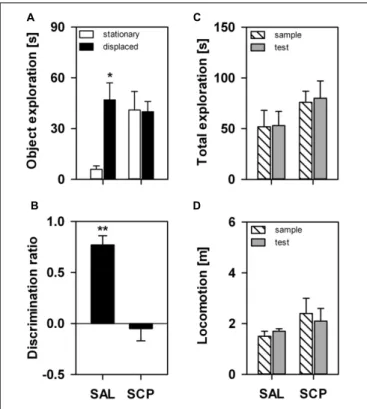 FIGURE 2 | Marmosets’ performance on the one-trial Spontaneous Object-Location (SOL) Recognition Task