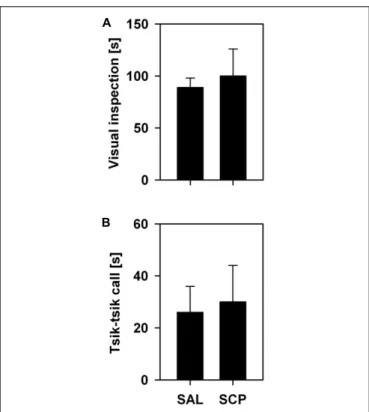 FIGURE 3 | Mean time (+SEM; in seconds) spent visually inspecting the snake model (A) and emitting tsik–tsik alarm vocalizations (B) by the saline (SAL; n = 4) and SCP (0.03 mg/kg SCP; n = 5) treated marmosets during the 10 min snake-exposure trial of the 