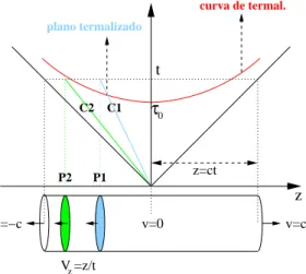 Figura 3.2: ilustração do pro
esso de termalização no tempo próprio t ′ 0 . As retas C1 e C2 são,