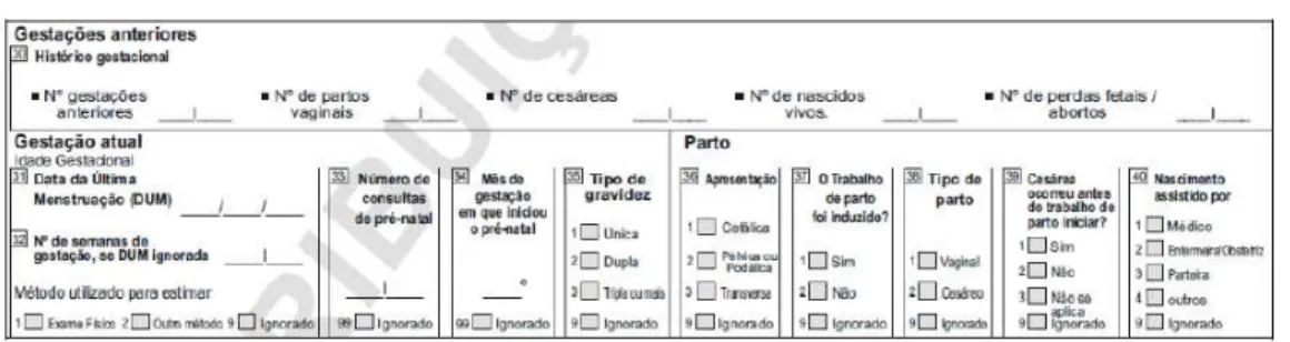 Figura 1 –   Bloco de perguntas sobre gestações anteriores, gestação  atual e parto do formulário da Declaração de Nascido Vivo  introduzida em 2011 pelo Ministério da Saúde