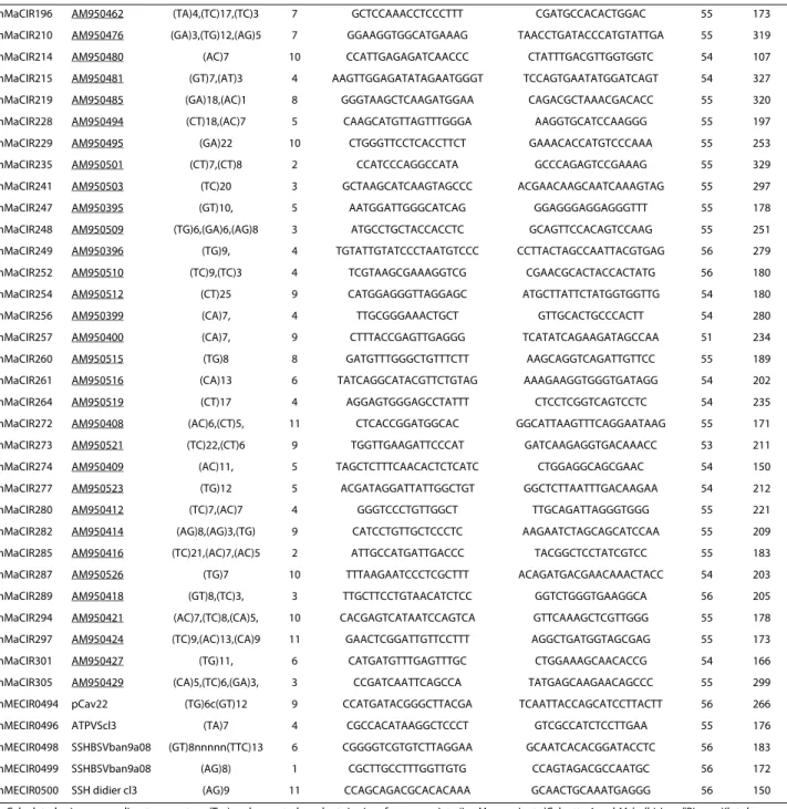 Table 2: Characteristics of the mapped SSR loci from a  Musa  genomic library (mMaCIR102 to mMaCIR 305) and from EST  sequences (mMECIR0494 to mMECIR0500)