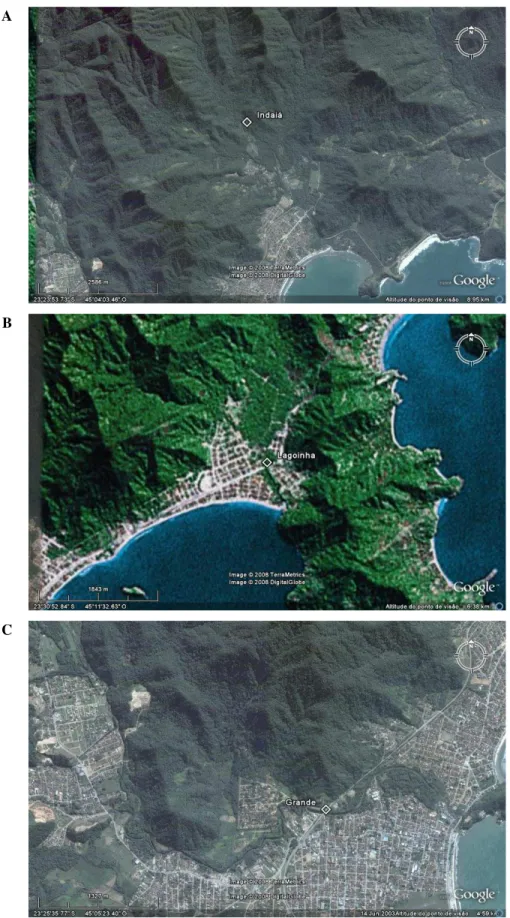 Figura  3  -  Imagens  detalhadas  dos  pontos  de  amostragem  nos  rios  Indaiá  (A),  Lagoinha  (B)  e  Grande  (C)