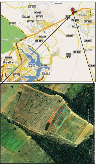 Figura  1.  Localização  da  área  de  estudo  no  interior  do  Campo  Experimental  da  Embrapa  Cerrados  –   CPAC