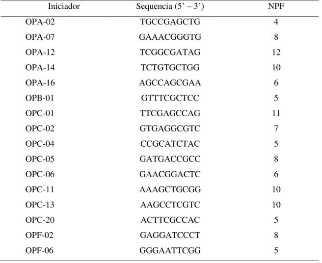 Tabela 6-2. Relação de iniciadores selecionados, com respectivos nomes comerciais, seqüência  de  bases  nitrogenadas,  número  de  fragmentos  polimórficos  (NFP),  em  12  populações  de  H