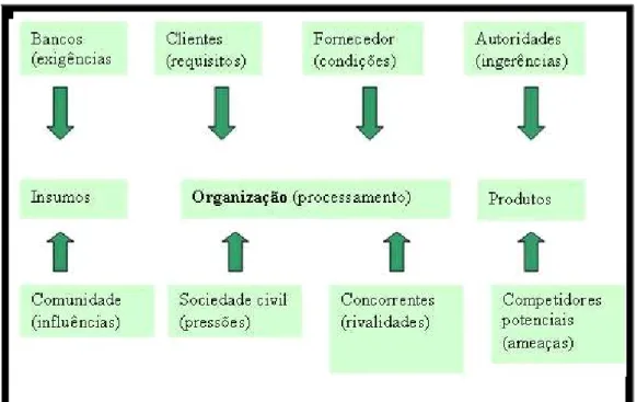 Figura 2: Visão Sistêmica da Organização. 