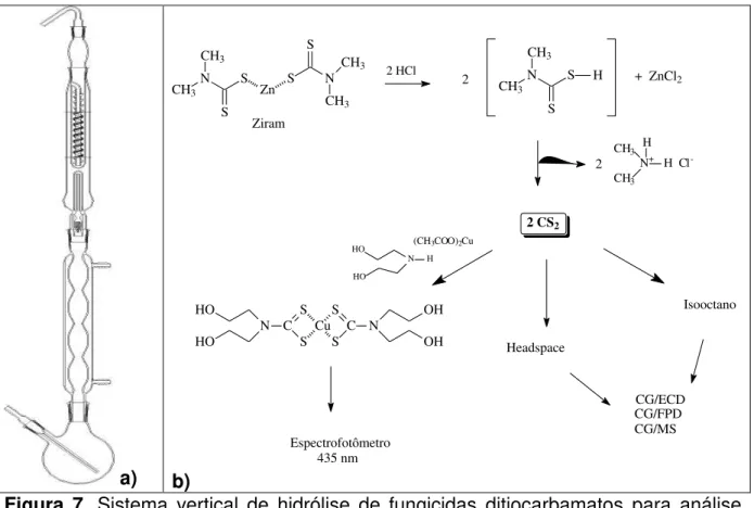 Figura  7.  Sistema  vertical  de  hidrólise  de  fungicidas  ditiocarbamatos  para  análise  espectrofotométrica  (a);  reação  de  hidrólise  do  ditiocarbamato  ziram  e  formas  de  determinação do CS 2   formado (b)