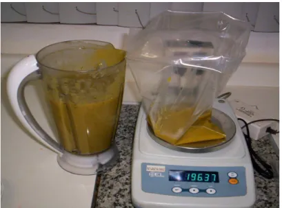 Figura 4. Homogeneização e pesagem de uma amostra de sopa. 